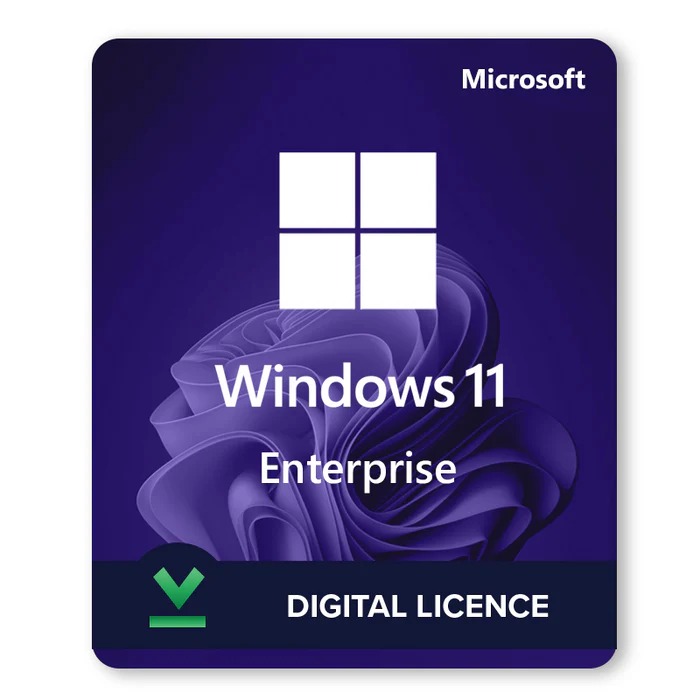 Windows 11 Enterprise
Lifetime Validity